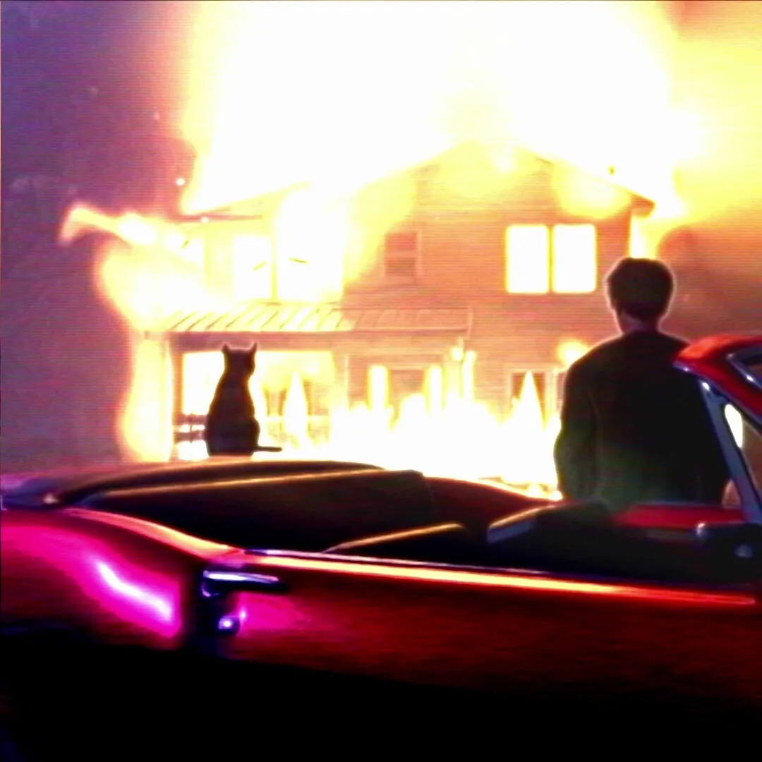 Cat and Burn, the man and cat watching a house burn