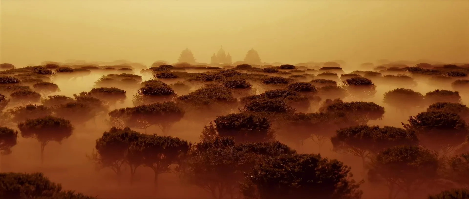 A sea of rounded tree canopies fading into amber mist, with distant temple spires on the horizon.